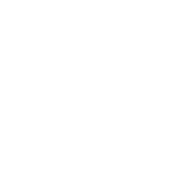 CORE Badger Pro